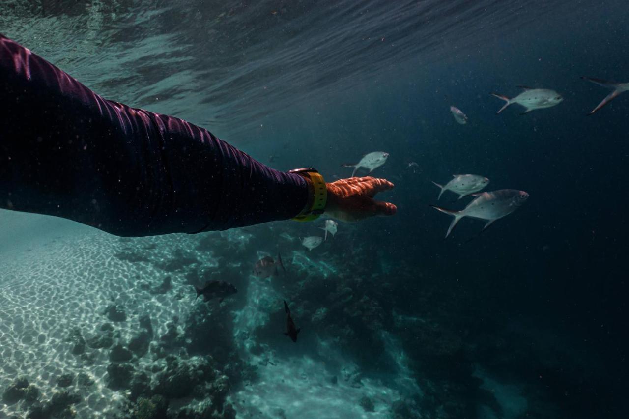 Sun Siyam Iru Veli - 24 Hours Premium All-Inclusive With Free Transfers Hulhudheli エクステリア 写真
